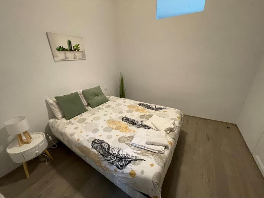 Cosy T3 Proche Gare Et Polygone Apartman Béziers Kültér fotó