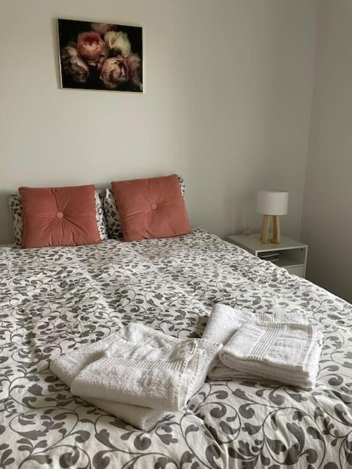Cosy T3 Proche Gare Et Polygone Apartman Béziers Kültér fotó